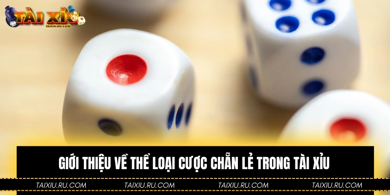 Giới thiệu thể loại cược chẵn lẻ trong Tài Xỉu