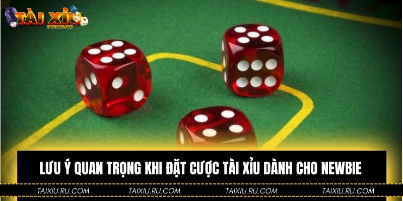 Lưu ý quan trọng khi đặt cược Tài Xỉu dành cho newbie
