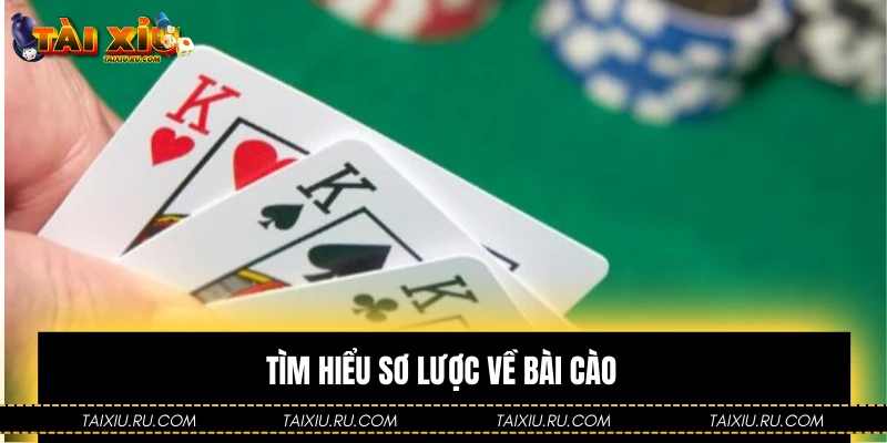 Tìm hiểu sơ lược về bài cào