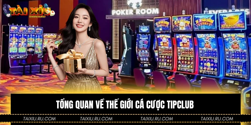 Tổng quan về thế giới cá cược Tipclub